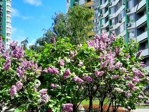 квартира по адресу Вышгородская ул., 45/11