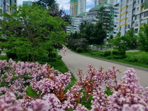 квартира по адресу Вышгородская ул., 45/11