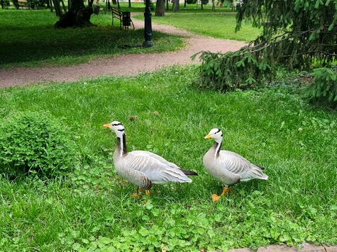 квартира по адресу Вышгородская ул., 45/11
