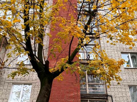 квартира за адресою Гетьмана Івана Мазепи вул. (Топольна), 4