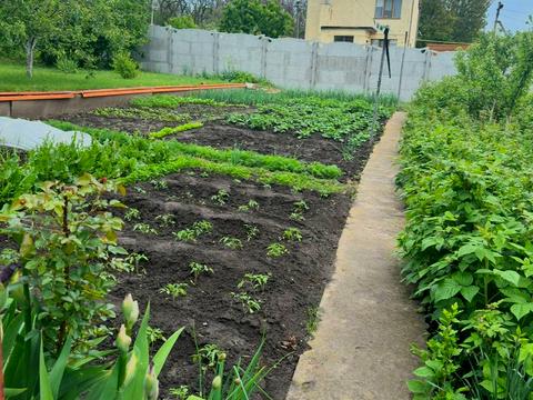 будинок за адресою Сурсько-Литовська вул.