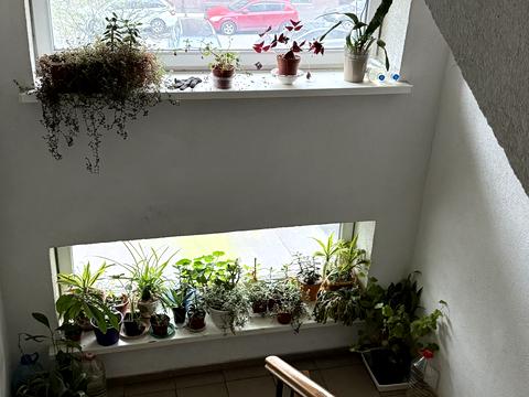 квартира за адресою с. Петропавлівська борщагівка, Софіївський пров., 26