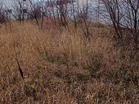 участок по адресу Гомоненко ул.