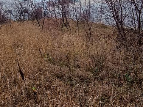 участок по адресу Гомоненко ул., 5