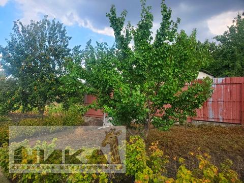 будинок за адресою с. Лежине, степова