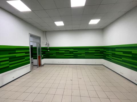 комерційна за адресою Гетьмана Павла Скоропадського вул. (Льва Толстого), 13