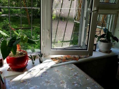 квартира по адресу Каунасская ул., 10/1