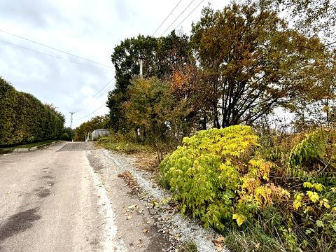 участок по адресу Пров. Молодіжний