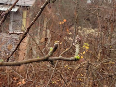 дом по адресу 3 лінія, 142