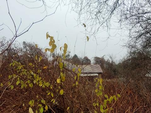 дом по адресу 3 лінія, 142