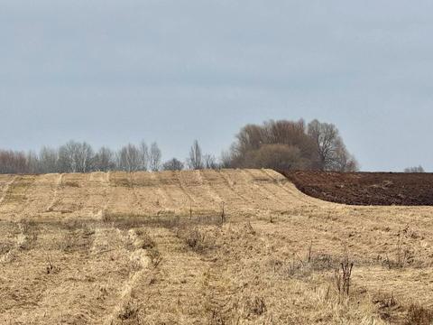 участок по адресу 