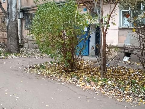 комната по адресу Космонавтов ул., 23/3