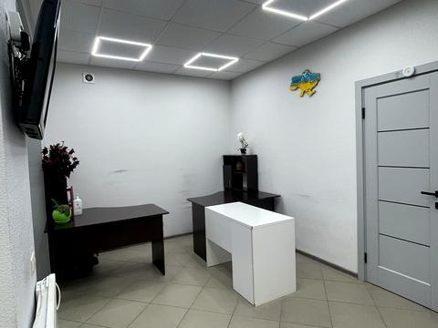 коммерческая по адресу Андрія Малишка ул. (Льва Толстого), 81