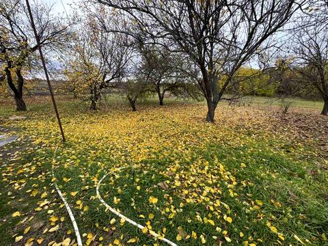 дом по адресу Олександра Зайвого