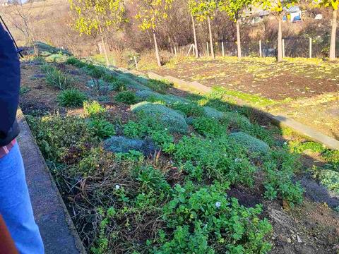 будинок за адресою с. Нерубайське, Парашутна, 20