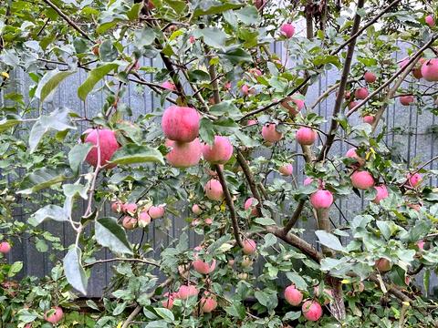 дом по адресу Деснянская ул.