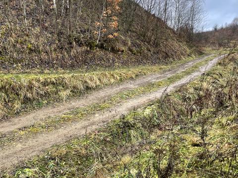 будинок за адресою смт. Верхнє Синьовидне, Ольги Кобилянської вул., 26