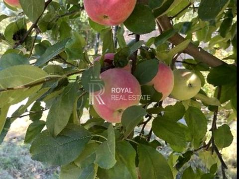 дом по адресу Молодіжна