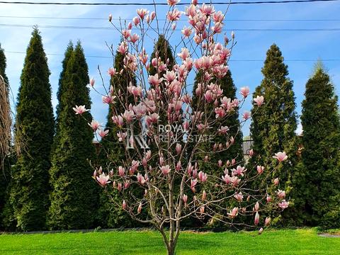 будинок за адресою Крута вул.