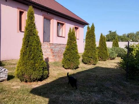 будинок за адресою наб. 2-А