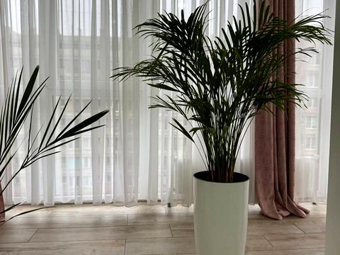 квартира за адресою Набережна Перемоги вул., 44