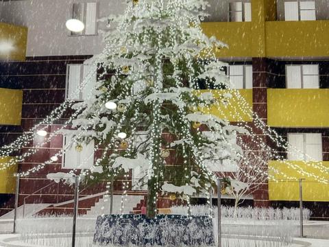 квартира по адресу Новоукраинская ул., 24а