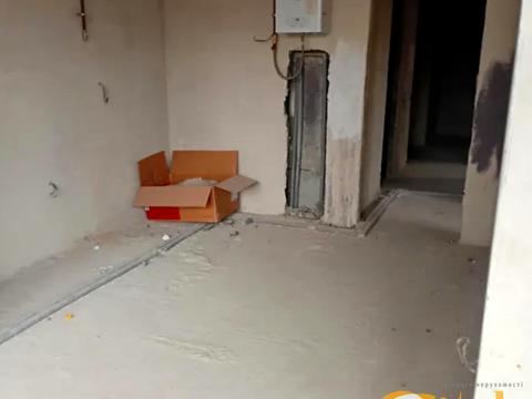 квартира по адресу Пасечная ул., 93