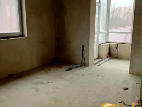 квартира по адресу Пасечная ул., 93