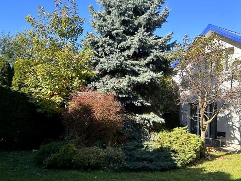 будинок за адресою Івана Виговського вул. (Терешкової), 34