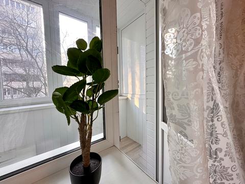 квартира за адресою Чеська вул., 3