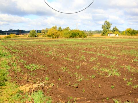 ділянка за адресою 