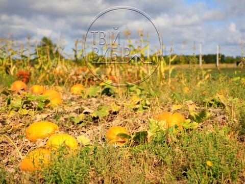 ділянка за адресою 