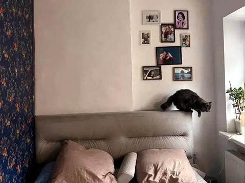 дом по адресу Всенародная ул., 31