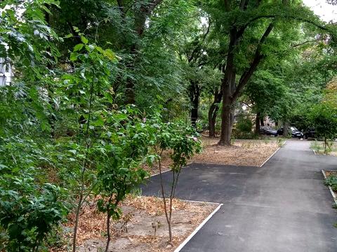 квартира по адресу Ботанічний пер., 2а