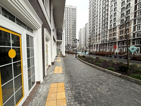 комерційна за адресою Михайла Максимовича вул. (Онуфрія Трутенка), 24-Г