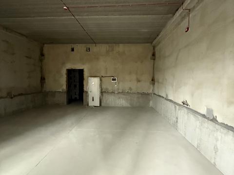 комерційна за адресою Михайла Максимовича вул. (Онуфрія Трутенка), 24-Г