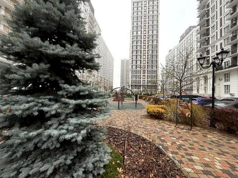 комерційна за адресою Михайла Максимовича вул. (Онуфрія Трутенка), 24-Г