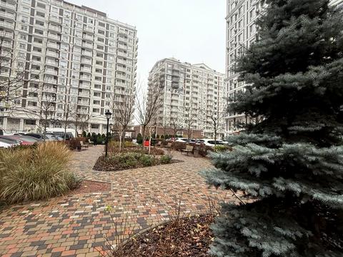 комерційна за адресою Михайла Максимовича вул. (Онуфрія Трутенка), 24-Г