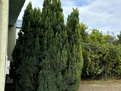 дом по адресу Шевченка