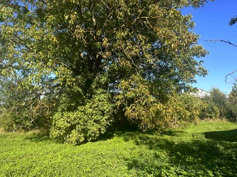 будинок за адресою Південна
