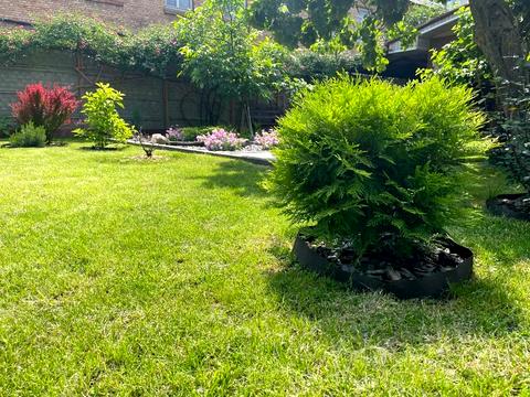 дом по адресу Александровская ул.