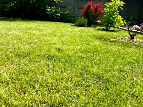 дом по адресу Александровская ул.