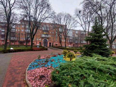 квартира за адресою Миру вул., 20