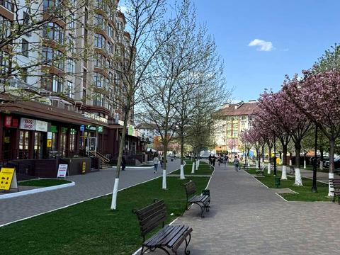 квартира за адресою Волинська вул., 12