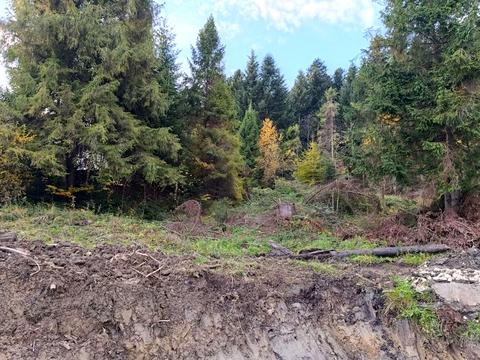 ділянка за адресою смт. Східниця, 