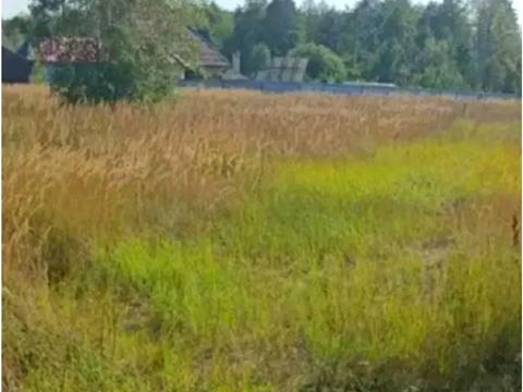 ділянка за адресою с. Білогородка, Спаська вул., 17