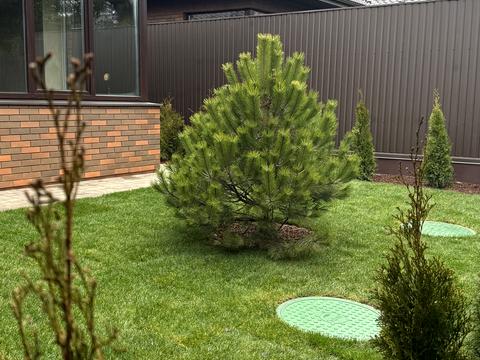 будинок за адресою Шевченка вул.