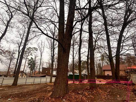 ділянка за адресою Нестайка, 7а