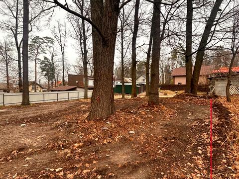 ділянка за адресою Нестайка, 7а