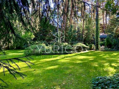 будинок за адресою Лісова вул.